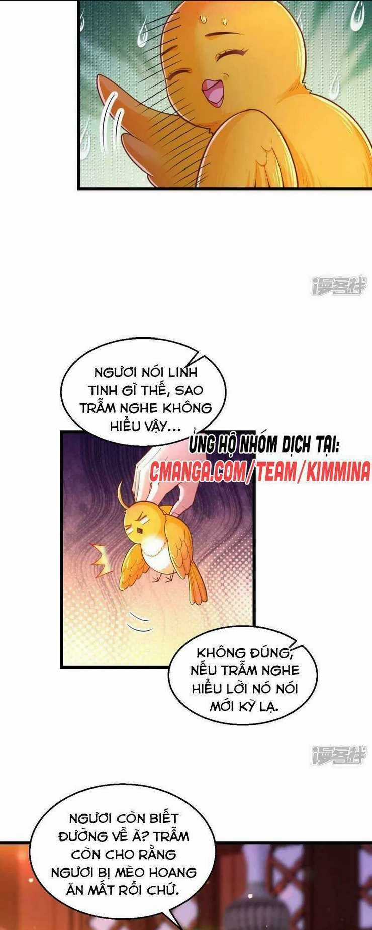 Ngã Tại Hậu Cung Đương Đại Lão Chapter 97 trang 17