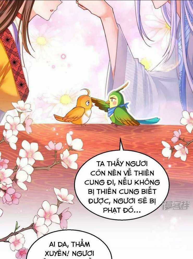 Ngã Tại Hậu Cung Đương Đại Lão Chapter 97 trang 6