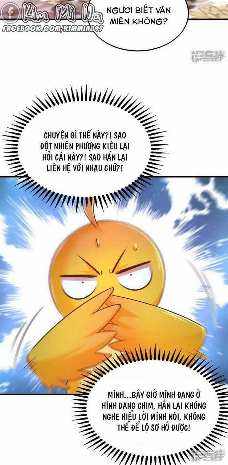 Ngã Tại Hậu Cung Đương Đại Lão Chapter 98 trang 11