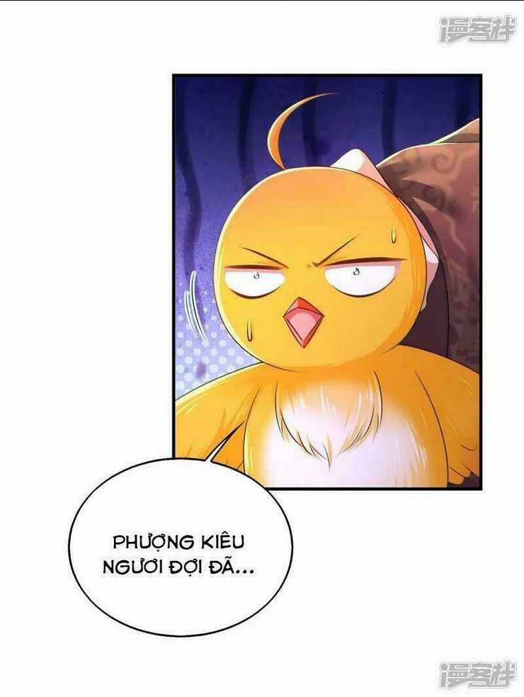 Ngã Tại Hậu Cung Đương Đại Lão Chapter 98 trang 24