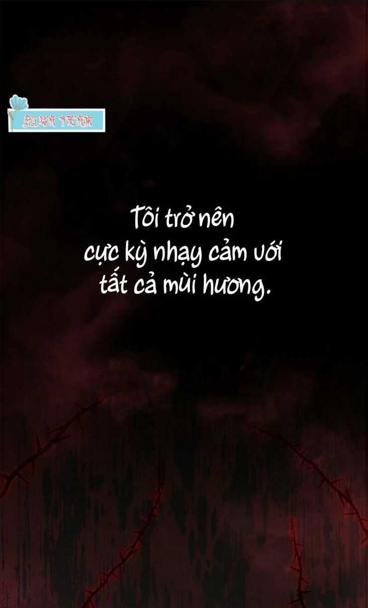 Ngài Công Tước, Chùng Ta Cùng Tắm Nào ! Chapter 14 trang 43