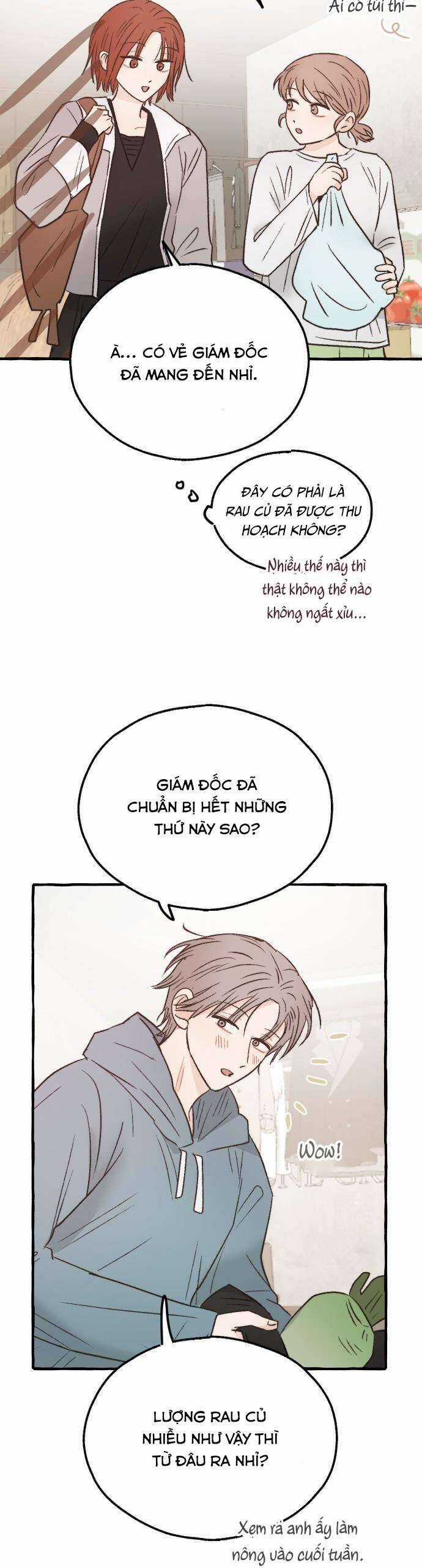 Ngài Giám Đốc Giữa Rừng Sâu Chapter 22 trang 17