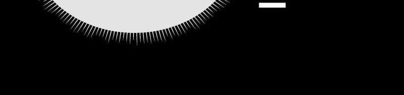 Ngại Qué, Kỹ Năng Của Ta Tự Mãn Cấp! Chapter 2 trang 187