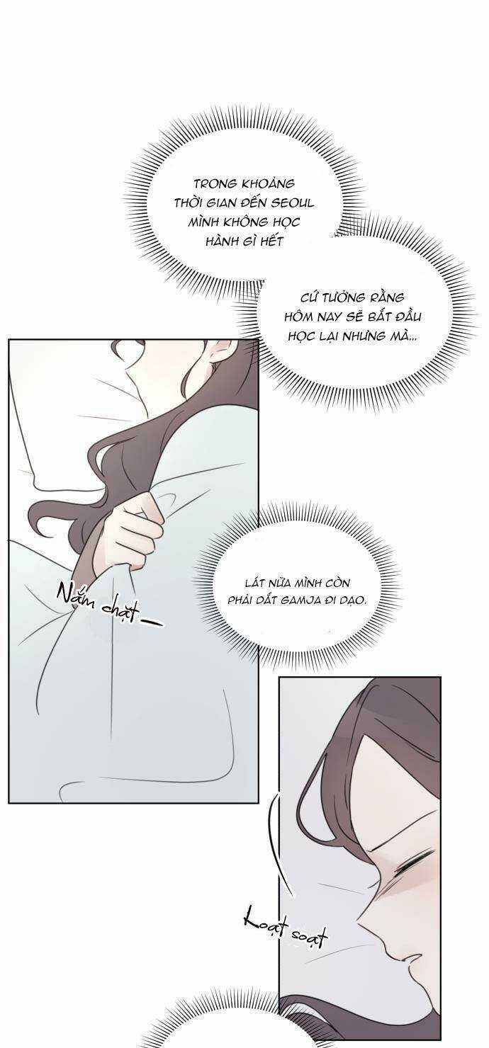 Ngắm Nhìn Điều Tuyệt Vời Nhất Chapter 29 trang 13