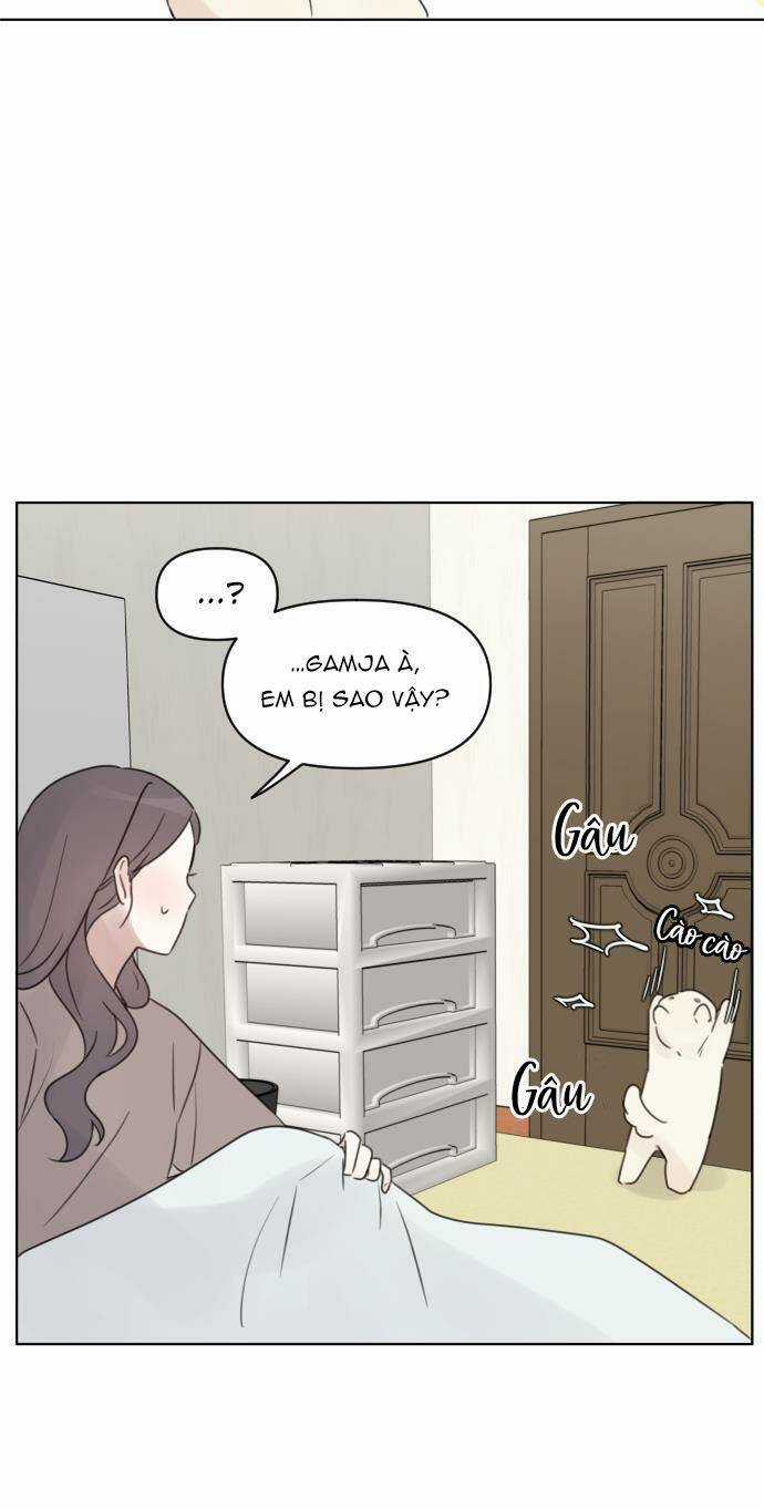 Ngắm Nhìn Điều Tuyệt Vời Nhất Chapter 29 trang 38