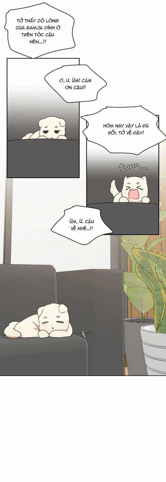 Ngắm Nhìn Điều Tuyệt Vời Nhất Chapter 31 trang 33