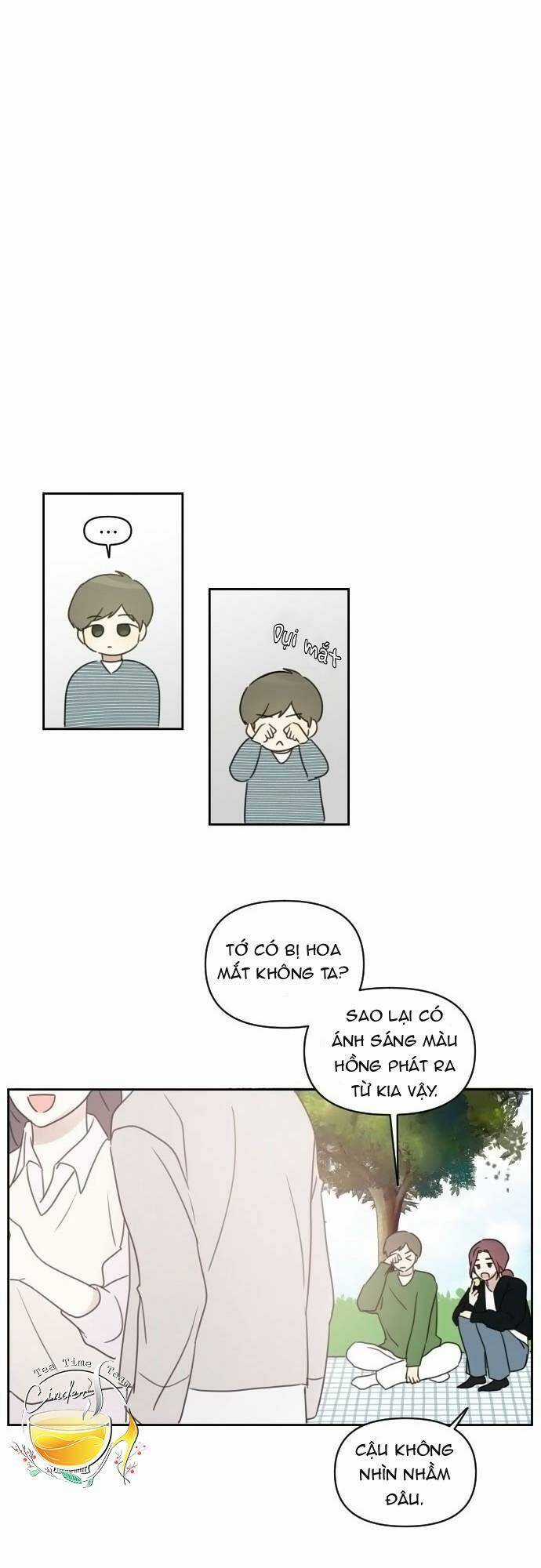 Ngắm Nhìn Điều Tuyệt Vời Nhất Chapter 33 trang 24