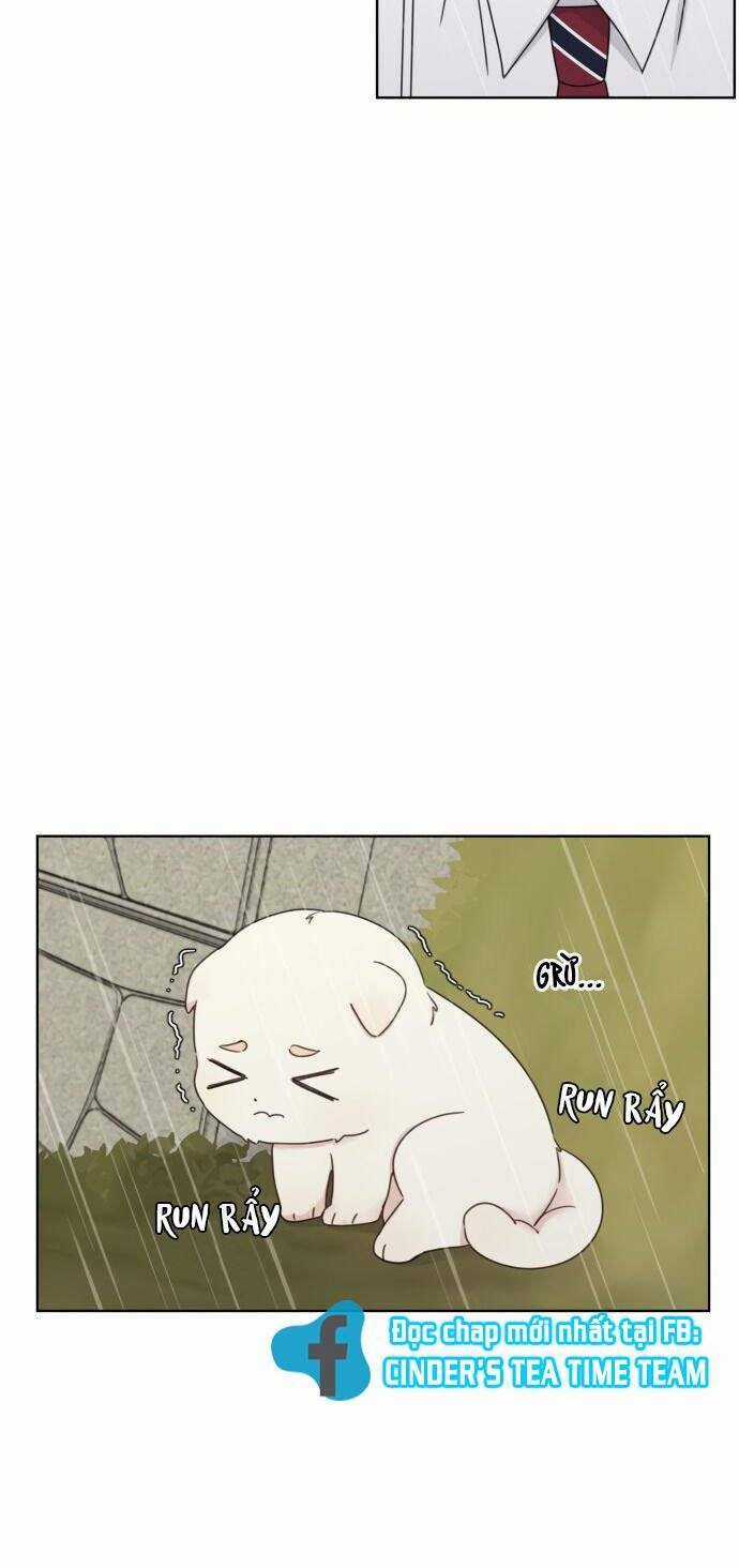 Ngắm Nhìn Điều Tuyệt Vời Nhất Chapter 4 trang 23