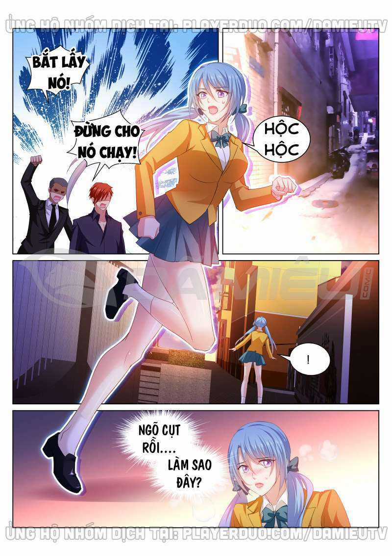 Ngận Thuần Ngận Ái Muội Chapter 342 trang 4