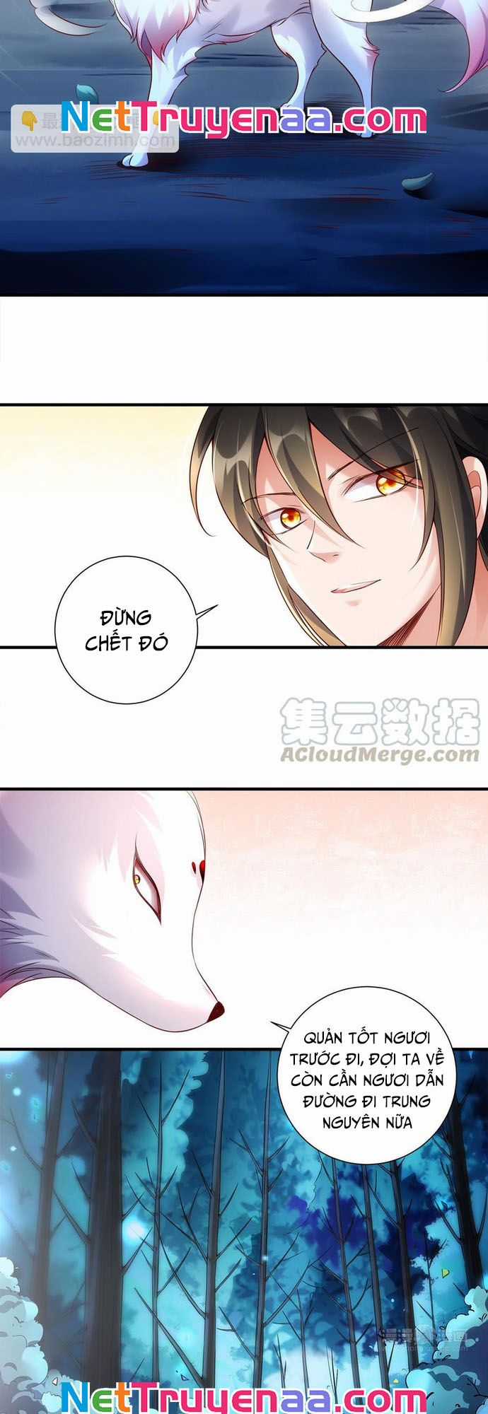 Ngàn vàng không đổi Chapter 95 trang 17