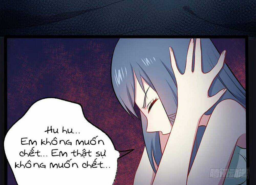 Ngạo Kiều Quỷ Vương Yêu Ta Chapter 16 trang 3