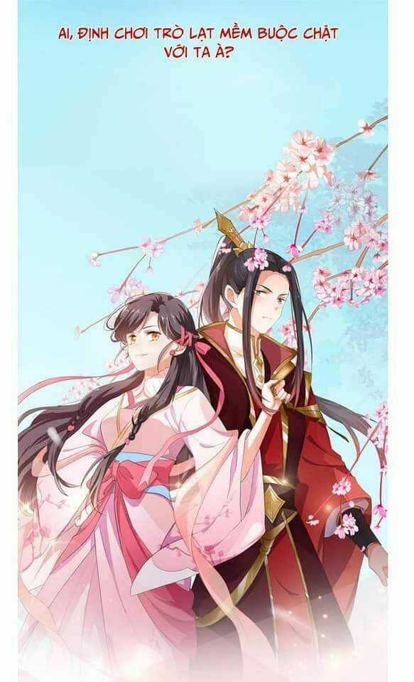 Ngạo Kiều Vương Gia Huyên Náo Phi Chapter 0 trang 14