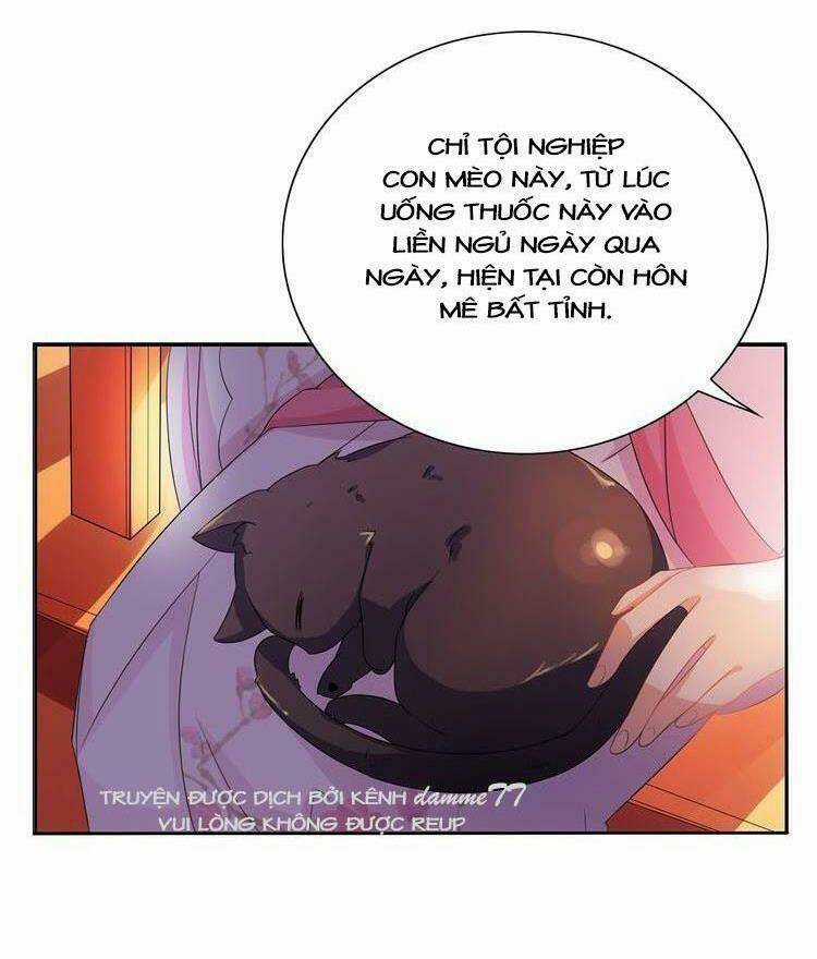 Ngạo Kiều Vương Gia Huyên Náo Phi Chapter 20 trang 32