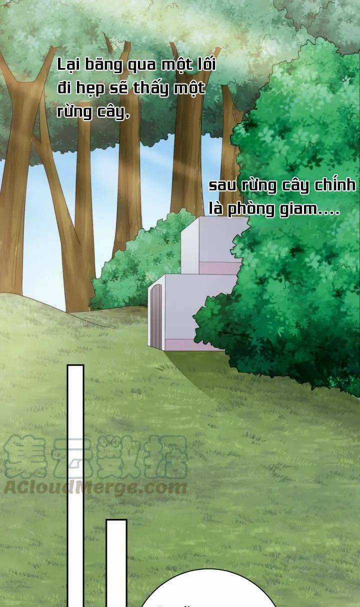 Ngạo Kiều Vương Gia Huyên Náo Phi Chapter 65 trang 4