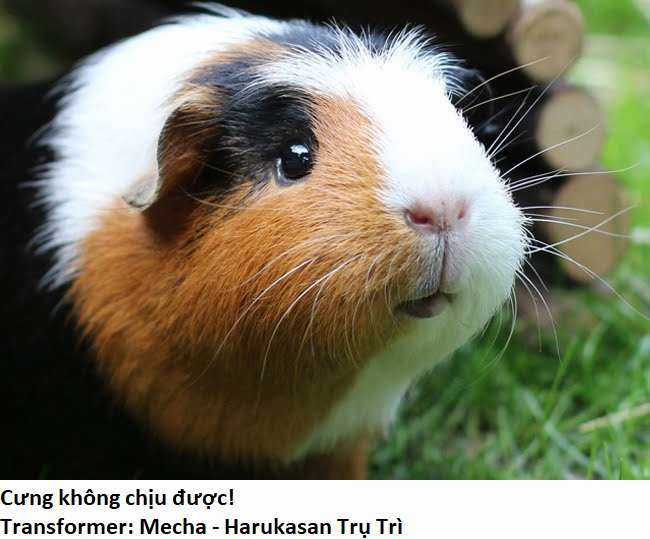 Ngay Cả Khi Hậu Tận Thế, Thật Hạnh Phúc Vẫn Còn Được Sống... Chapter 18.3 trang 10