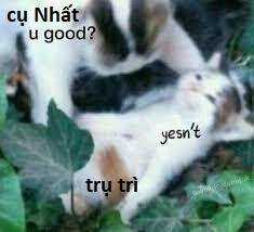 Ngay Cả Khi Hậu Tận Thế, Thật Hạnh Phúc Vẫn Còn Được Sống... Chapter 34.2 trang 14