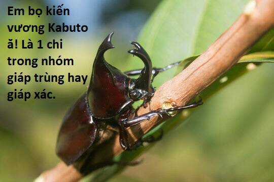 Ngay Cả Khi Hậu Tận Thế, Thật Hạnh Phúc Vẫn Còn Được Sống... Chapter 41.2 trang 13