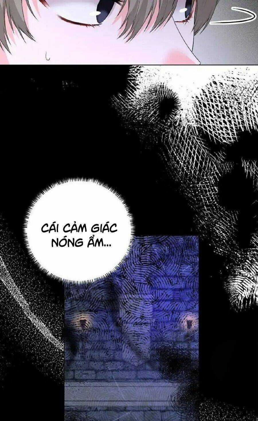 Ngay Cả Khi Là Ác Nữ, Tôi Vẫn Sẽ Trở Thành Nữ Chính Chapter 117 trang 10