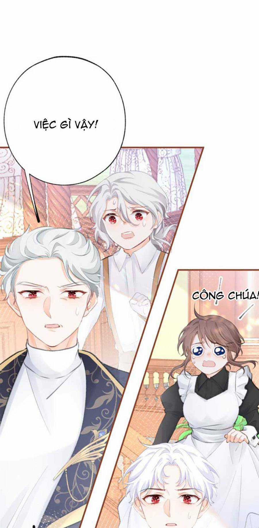 Ngày Nào Đó Trở Thành Công Chúa Tế Phẩm Chapter 11 trang 28