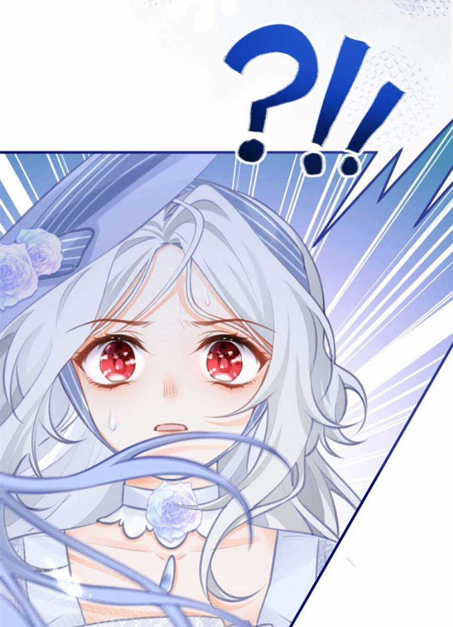 Ngày Nào Đó Trở Thành Công Chúa Tế Phẩm Chapter 11 trang 3