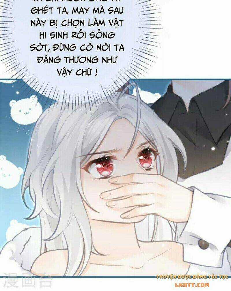 Ngày Nào Đó Trở Thành Công Chúa Tế Phẩm Chapter 12 trang 13