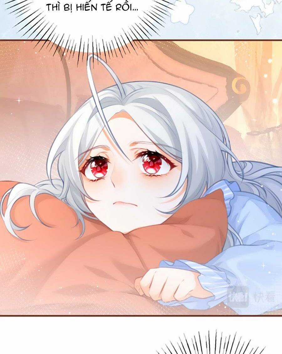 Ngày Nào Đó Trở Thành Công Chúa Tế Phẩm Chapter 15 trang 11