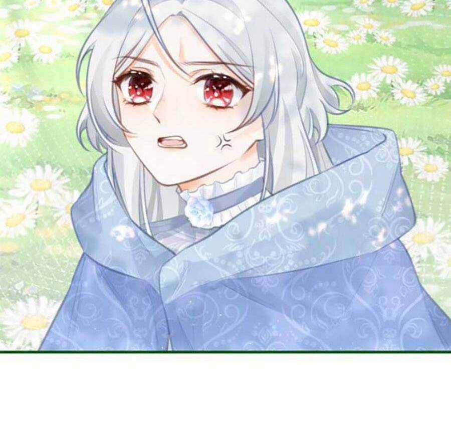 Ngày Nào Đó Trở Thành Công Chúa Tế Phẩm Chapter 17 trang 27