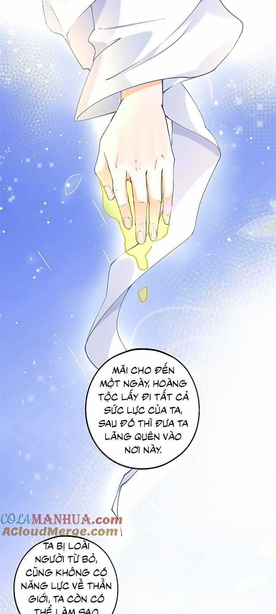 Ngày Nào Đó Trở Thành Công Chúa Tế Phẩm Chapter 195 trang 11