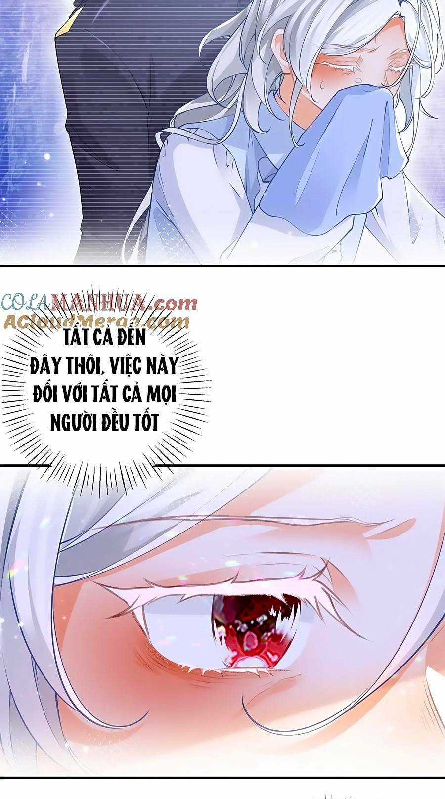 Ngày Nào Đó Trở Thành Công Chúa Tế Phẩm Chapter 203 trang 17