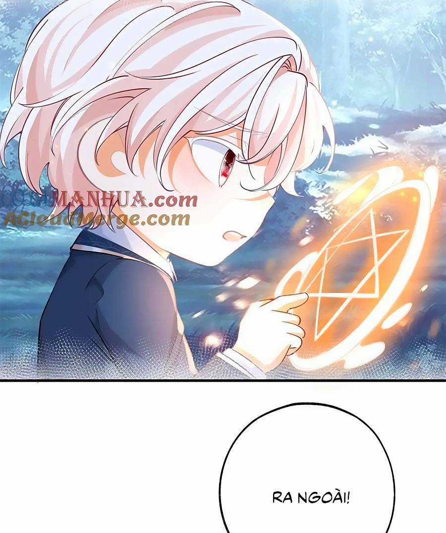 Ngày Nào Đó Trở Thành Công Chúa Tế Phẩm Chapter 205 trang 15