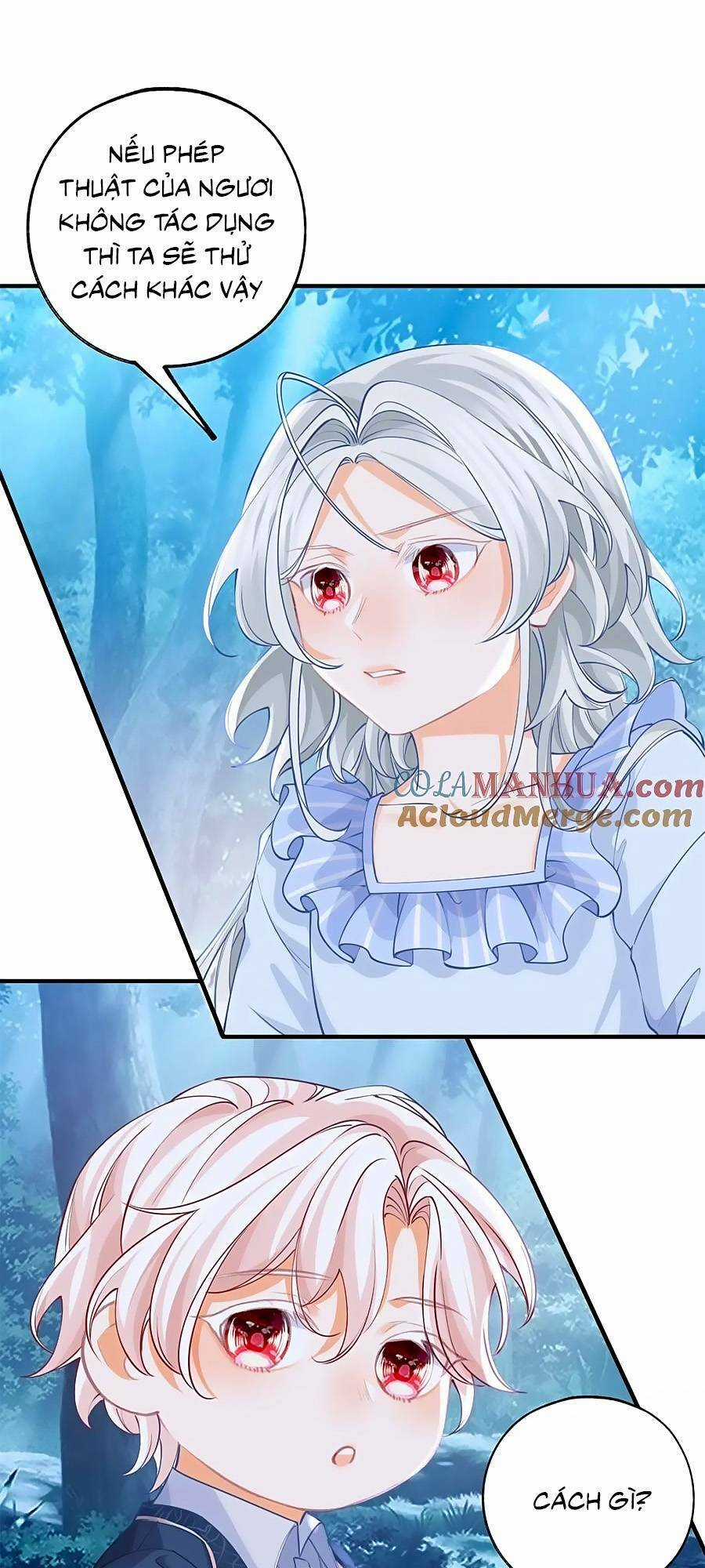 Ngày Nào Đó Trở Thành Công Chúa Tế Phẩm Chapter 205 trang 19