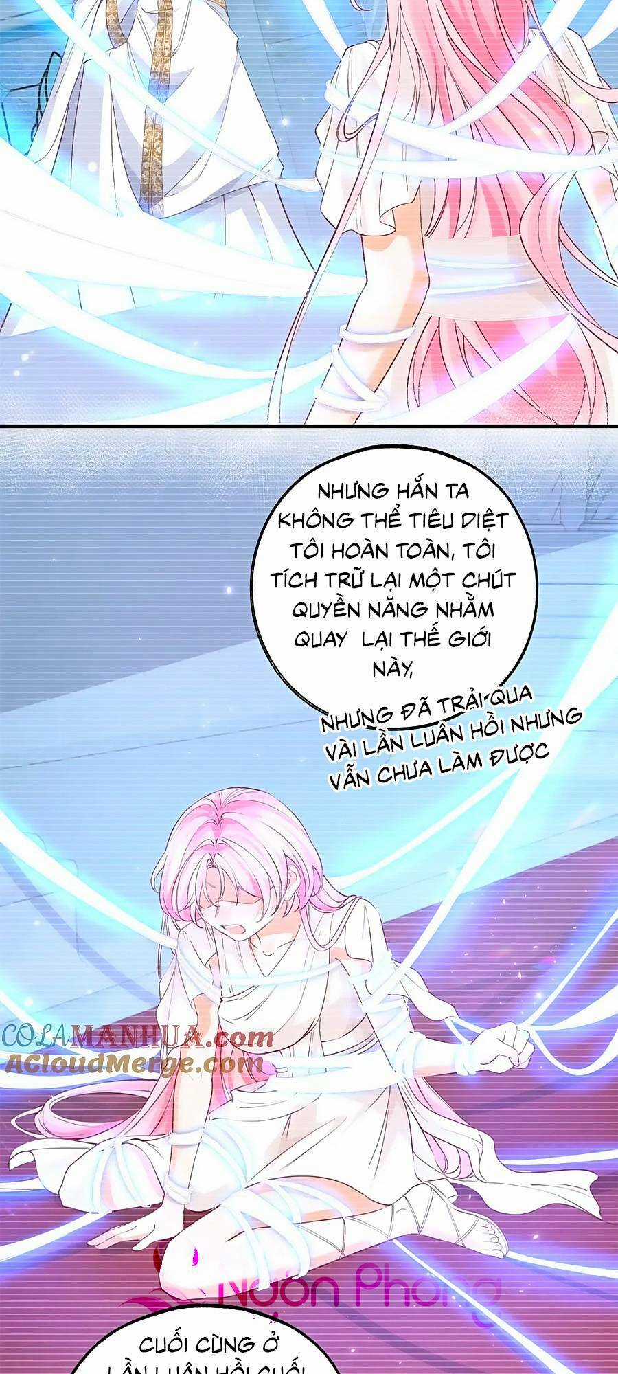 Ngày Nào Đó Trở Thành Công Chúa Tế Phẩm Chapter 207 trang 17