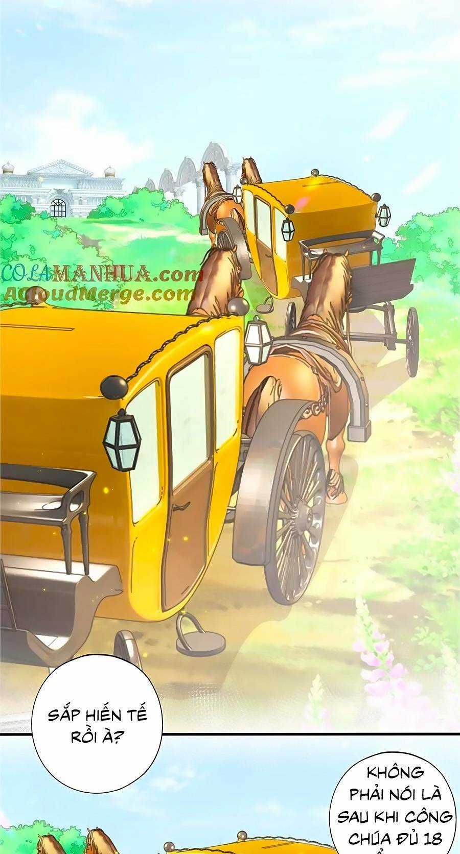 Ngày Nào Đó Trở Thành Công Chúa Tế Phẩm Chapter 210 trang 17