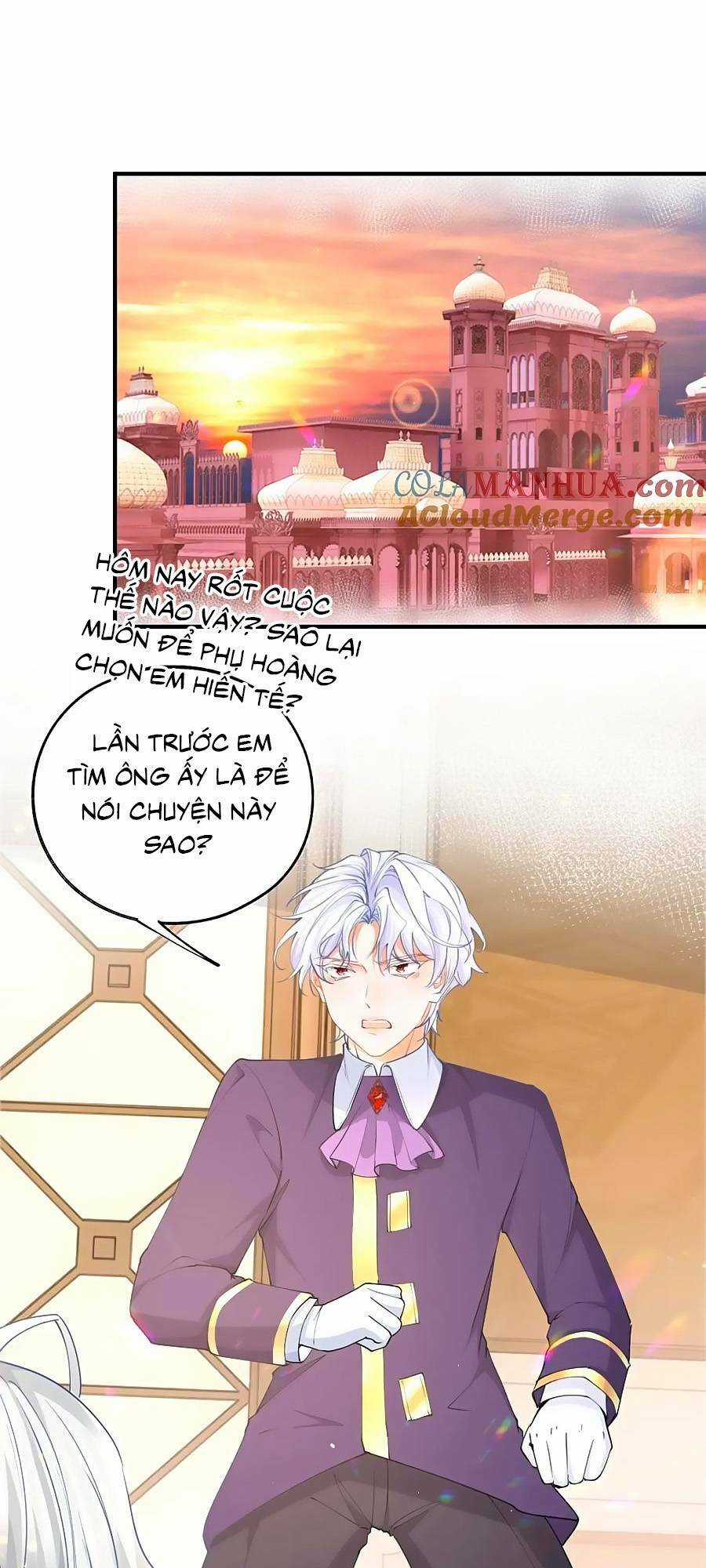 Ngày Nào Đó Trở Thành Công Chúa Tế Phẩm Chapter 212 trang 9