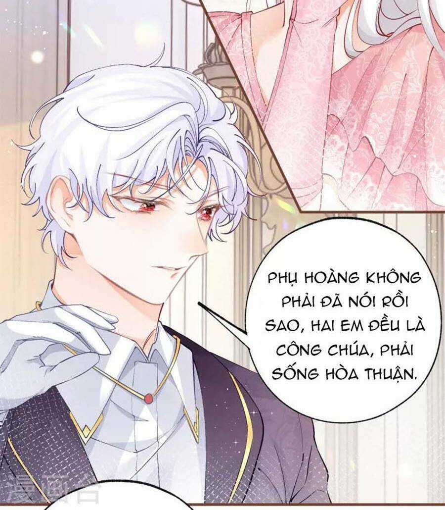 Ngày Nào Đó Trở Thành Công Chúa Tế Phẩm Chapter 33 trang 5