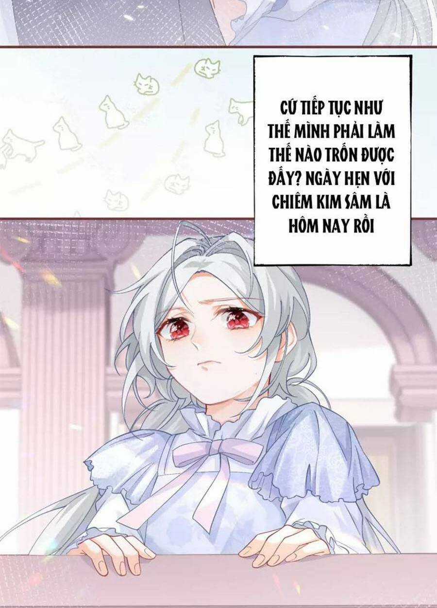 Ngày Nào Đó Trở Thành Công Chúa Tế Phẩm Chapter 34 trang 12