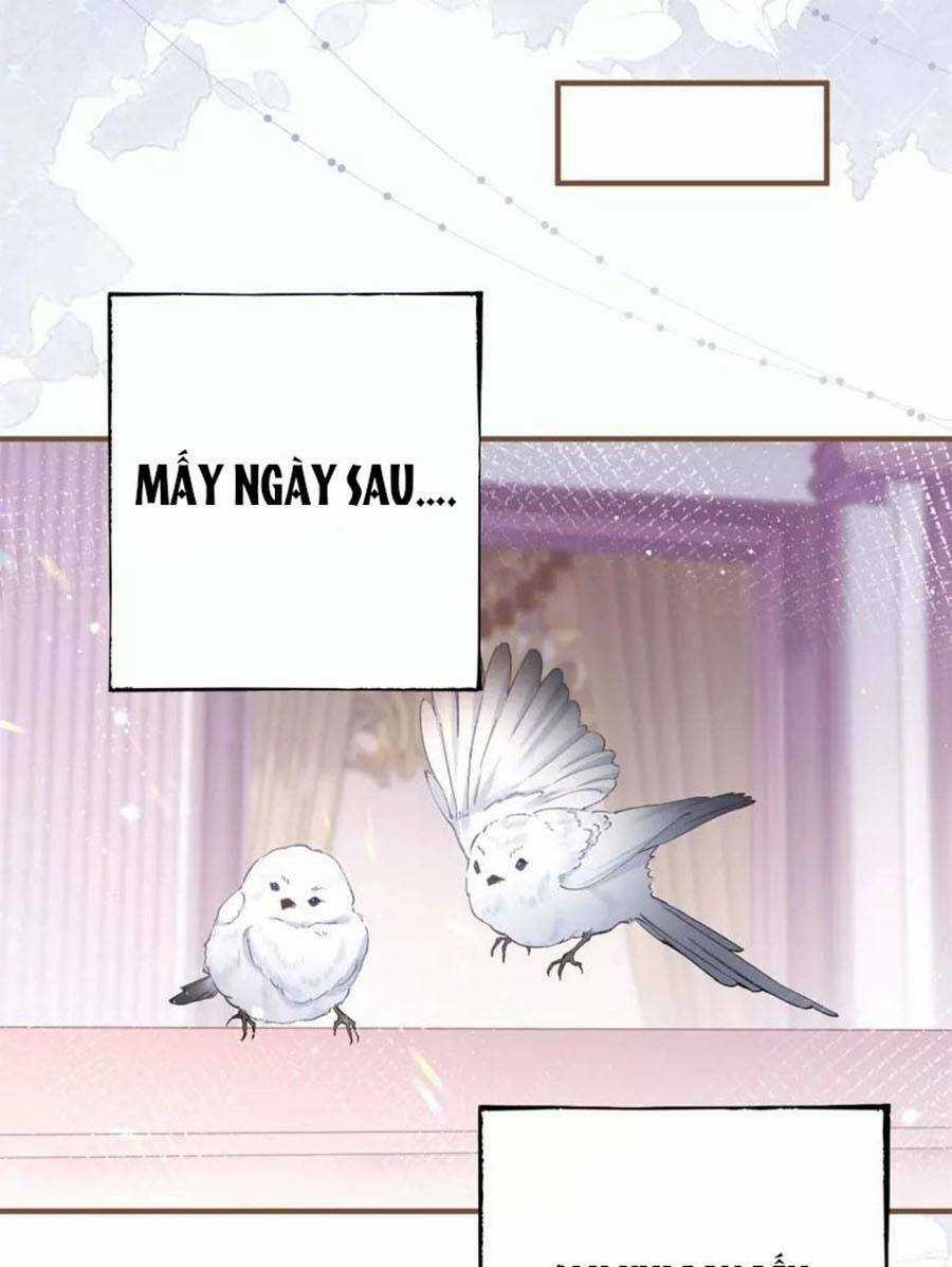 Ngày Nào Đó Trở Thành Công Chúa Tế Phẩm Chapter 34 trang 9