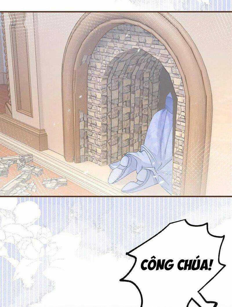 Ngày Nào Đó Trở Thành Công Chúa Tế Phẩm Chapter 35 trang 11