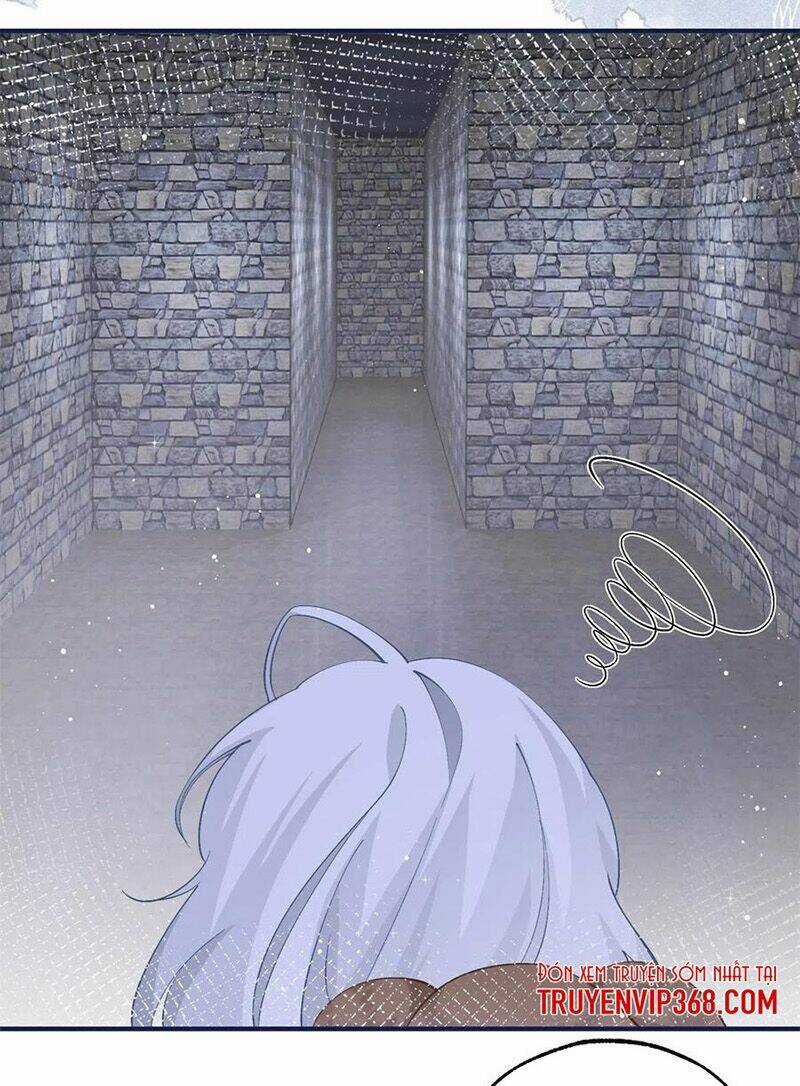 Ngày Nào Đó Trở Thành Công Chúa Tế Phẩm Chapter 35 trang 17