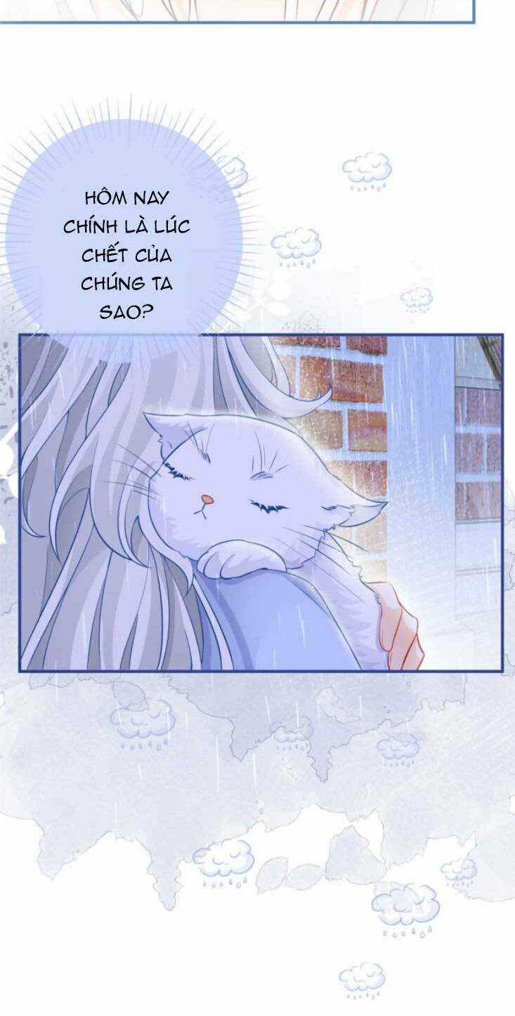 Ngày Nào Đó Trở Thành Công Chúa Tế Phẩm Chapter 6 trang 11