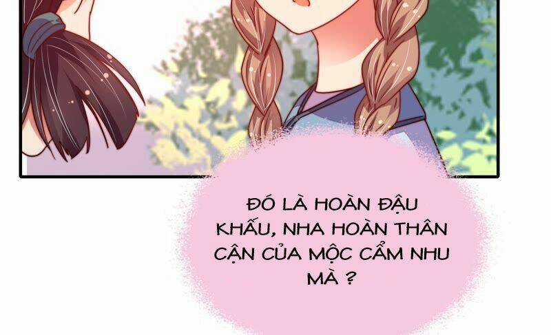 Ngày Nào Thiếu Soái Cũng Ghen Chapter 23 trang 34