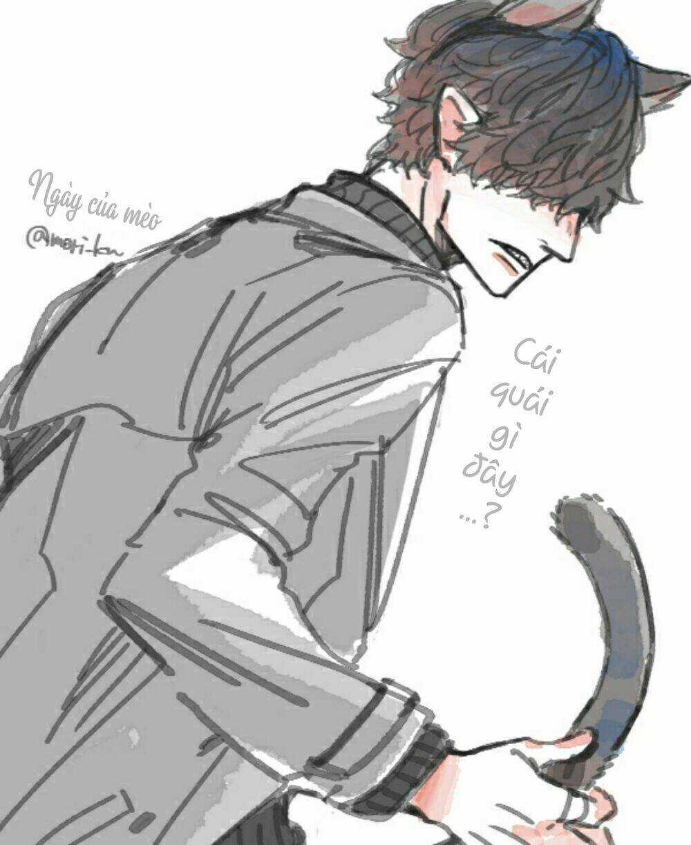 Ngày Nghỉ Của Ngài Tội Phạm Chapter 41 trang 5