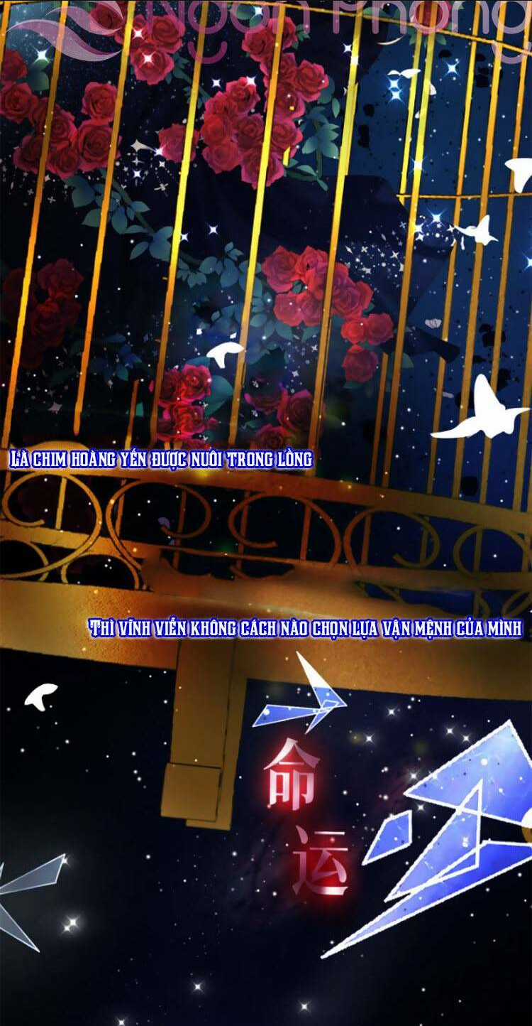 Ngày Tháng Được Giáo Chủ Đại Nhân Sủng Ái Chapter 0 trang 2