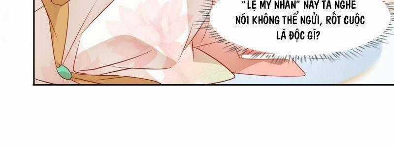 Nghe Nói Ta Là Hợp Hoan Lão Tổ? Chapter 6 trang 1