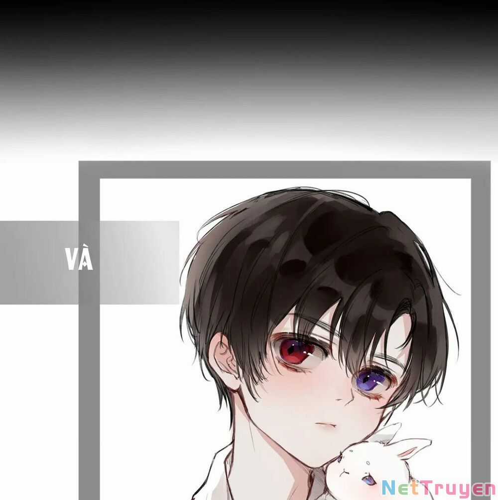 Nghe Nói Tôi Là Đại Tiểu Thư Phản Diện Chapter 0 trang 27