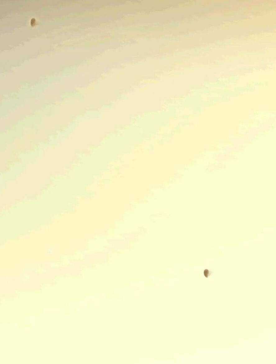 Nghịch Đồ Mỗi Ngày Đều Muốn Bắt Nạt Sư Phụ Chapter 140 trang 51