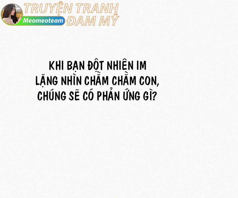 Nghịch Tập Chi Hảo Dựng Nhân Sinh Chapter 301 trang 0