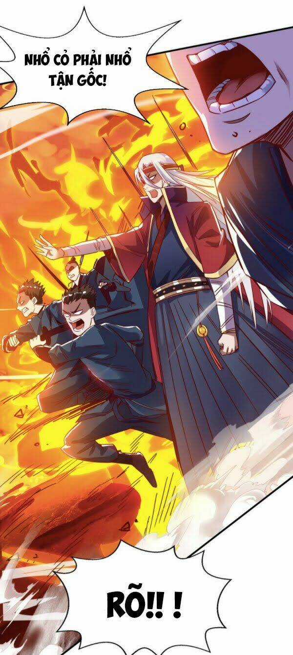Nghịch Thiên Chí Tôn Chapter 5 trang 12