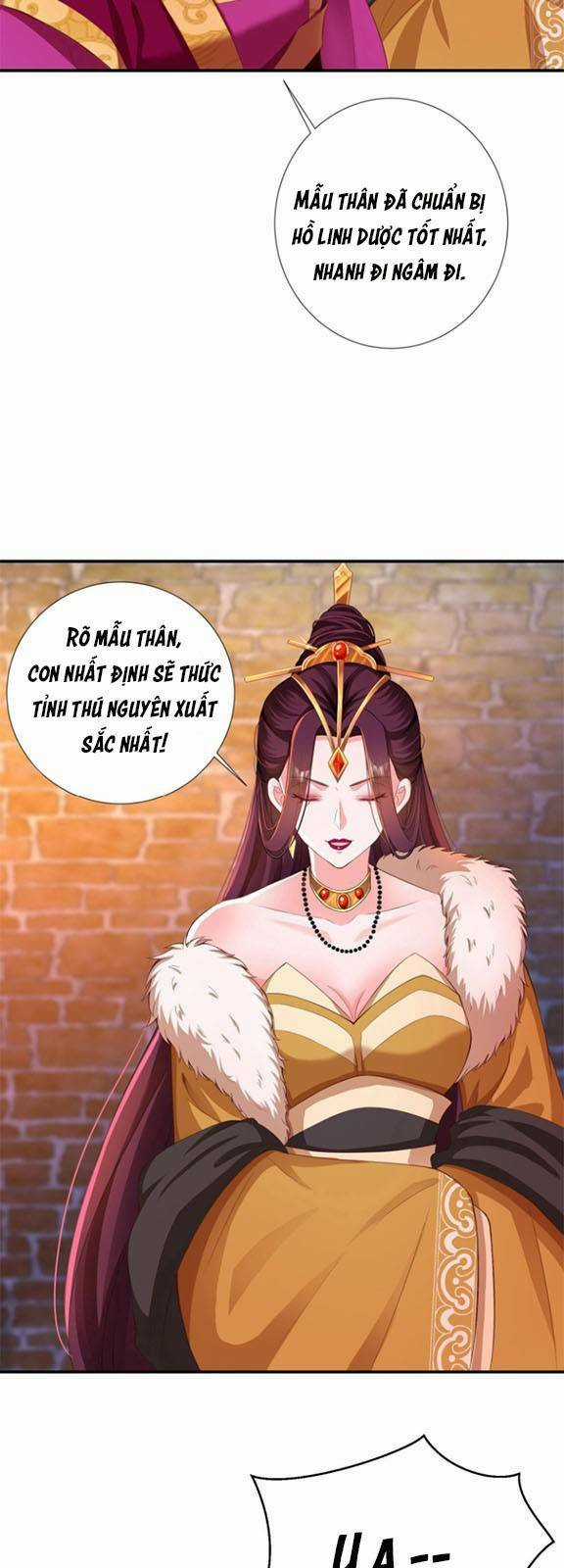 Nghịch Thiên Manh Thú_ Tuyệt Thế Yêu Nữ Khuynh Thiên Hạ Chapter 2 trang 3