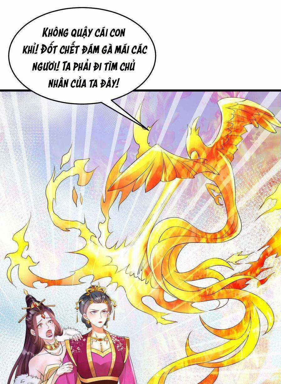 Nghịch Thiên Manh Thú_ Tuyệt Thế Yêu Nữ Khuynh Thiên Hạ Chapter 8 trang 8